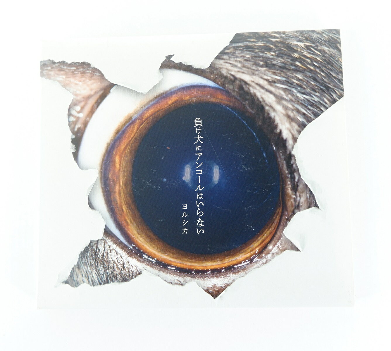 楽天市場】ドワンゴ 負け犬にアンコールはいらない＜初回生産