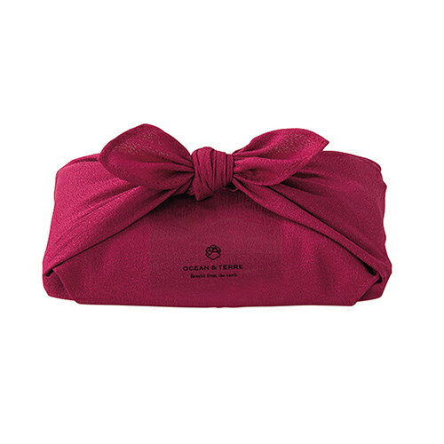 オリジナルあい O&T TSUTSUMI 北海道産 ゆめぴりか