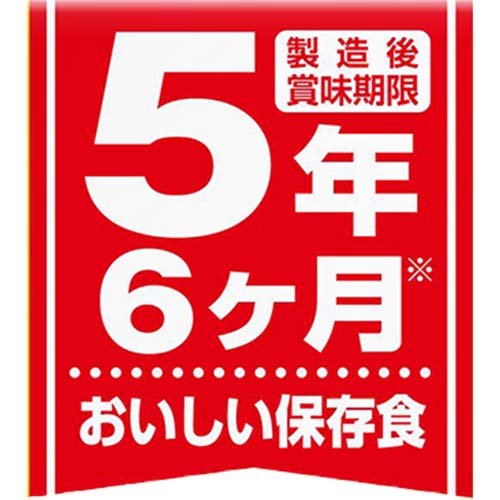 常備用 カレー職人 中辛(170g)