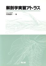 楽天市場】南山堂 解剖学講義/南山堂/伊藤隆（解剖学） | 価格比較