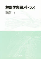 楽天市場】南山堂 解剖学講義/南山堂/伊藤隆（解剖学） | 価格比較
