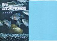 最終値下げ　北隆館　原色動物大図鑑　4巻セット 原色動物大図鑑 【全4巻】 4冊揃(内田清之助ほか著) / 古本