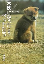 天使になったペットたち Ｄｏｇｓ　ｂｅ　ａｎｇｅｌ　ｆｏｒｅｖｅｒ！ 犬編/大和書房/大和書房