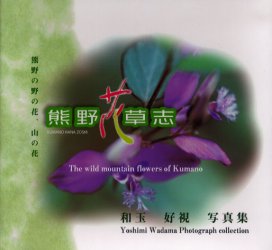 楽天市場】海游舎 蜂からみた花の世界 四季の蜜源植物とミツバチ