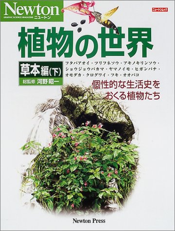 楽天市場】平凡社 日本草本植物根系図説/平凡社/清水建美 | 価格