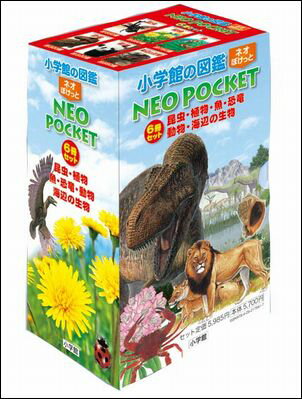 小学館の図鑑NEO DVDつきセット(既16巻) 楽天市場】小学館 小学館の図鑑NEO DVDつき（全16巻