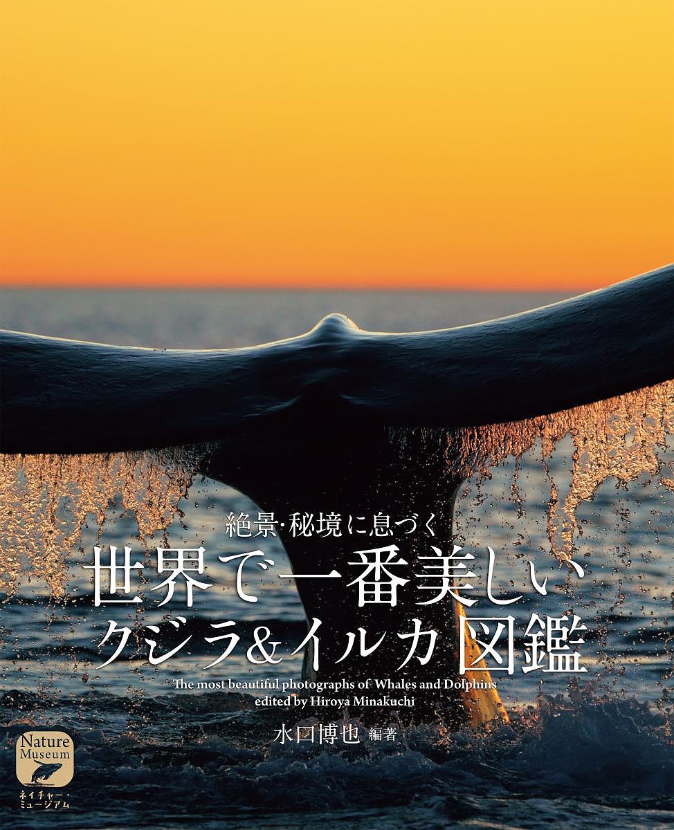 世界で一番美しいクジラ＆イルカ図鑑 絶景・秘境に息づく/誠文堂新光社/水口博也