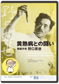 黄熱病との闘い 細菌学者 野口英世