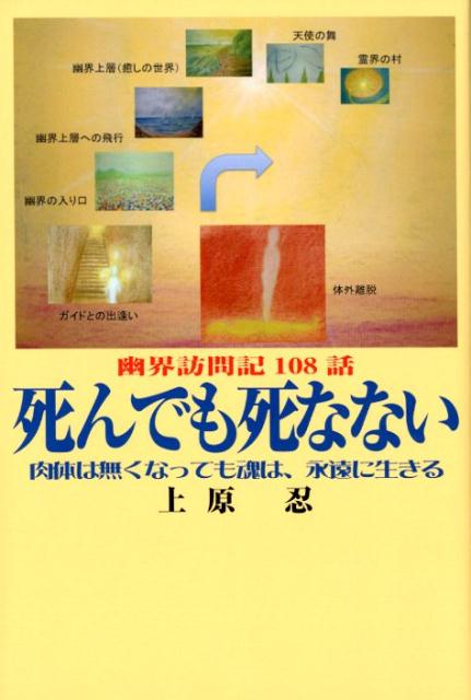 【中古】 あなたの知らない世界 ８/日本テレビ放送網/新倉イワオ 中古】 新倉イワオのあなたの知らない世界 20 総集編 / 新倉