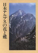 蜂からみた花の世界／佐々木正己著（海遊舎） 67-