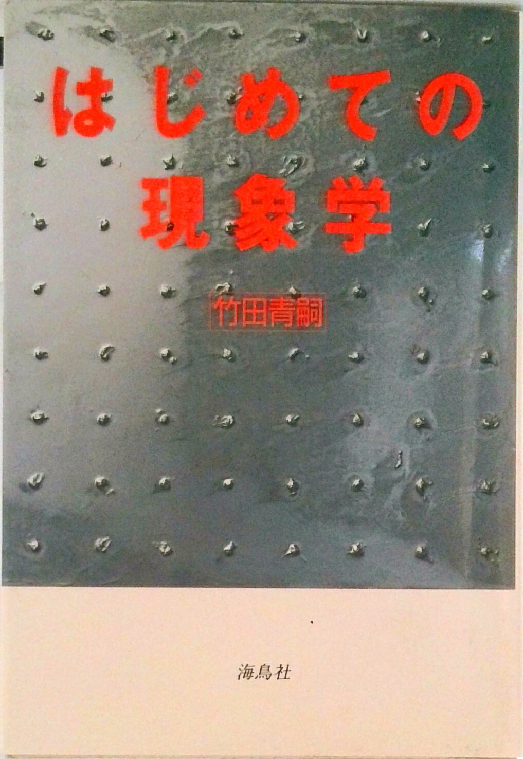 はじめての現象学/海鳥社/竹田青嗣