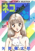 楽天市場】集英社 ネコじゃないモン！ 5/集英社/矢野健太郎（漫画家
