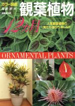 【中古】 長生蘭 ２００種の特徴と楽しみ方・育て方/三心堂出版社/堀内一博 楽天市場】三心堂出版社 長生蘭 200種の特徴と楽しみ方・育て