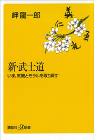 楽天市場】講談社 艶浪（あだなみ） 「無限の住人」画集/講談社/沙村