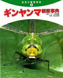 アメンボ観察事典/偕成社/小田英智（大型本） アメンボ観察事典/偕成社/小田英智（大型本） 小田英智（おだ