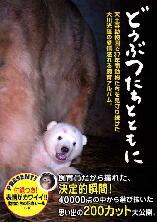 楽天市場】平凡社 毎日パンダ 365日上野動物園に通っているよ日記