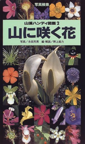 樹に咲く花  合弁花・単子葉・裸子植物 改訂第３版/山と渓谷社/茂木透（単行本） 樹に咲く花―合弁花・単子葉・裸子植物 (山渓ハンディ図鑑) (山溪