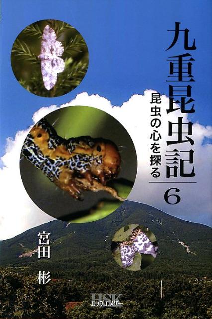 楽天市場】昆虫文献六本脚 世界のアゲハチョウ図説