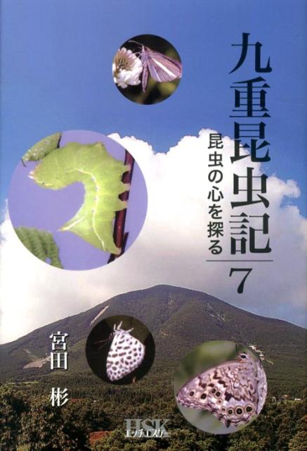 楽天市場】昆虫文献六本脚 世界のアゲハチョウ図説