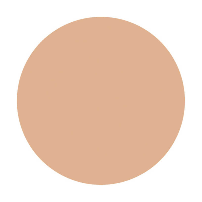 dプログラム 薬用スキンケアファンデーション(パウダリー) オークル20 レフィル(10.5g)