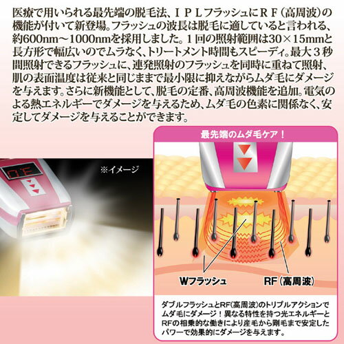 オムニ ワイドフラッシュアクセラレーションRF 810917(1セット)