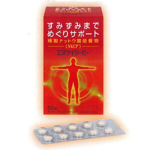 楽天市場】大和薬品 エヌケイシーピー(120粒入) | 価格比較 - 商品価格ナビ