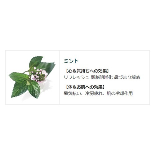 クナイプバスソルト スーパーミントの香り ボトル 850g