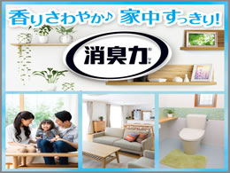 お部屋の消臭力 ペット用フルーティーガーデン 400ml