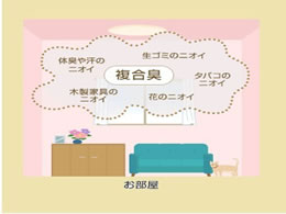 お部屋の消臭力 ペット用フルーティーガーデン 400ml