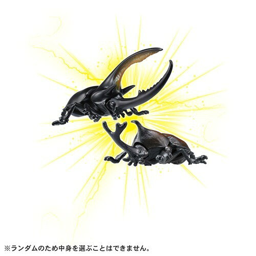 楽天市場】タカラトミー アニアくじ 6 森林の王者 昆虫コレクション2