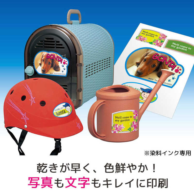 エーワン 屋外使えるラベル インクジェット 染料 光沢 フィルム 白 32002(3セット)