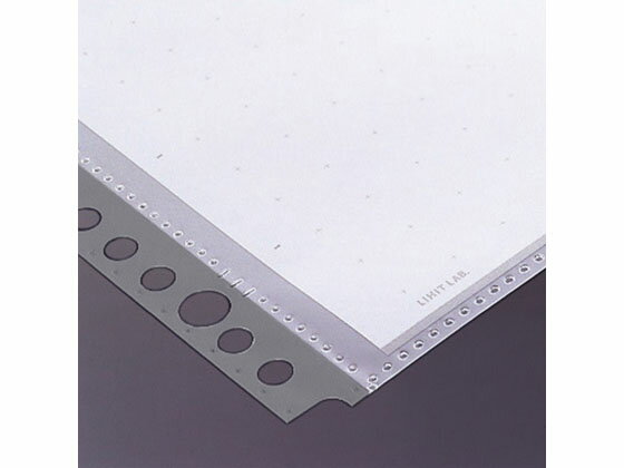 ルポ・リーンフォース・クリヤーポケット Ｂ４・Ｓ型 ３６（２・４）穴 グレー