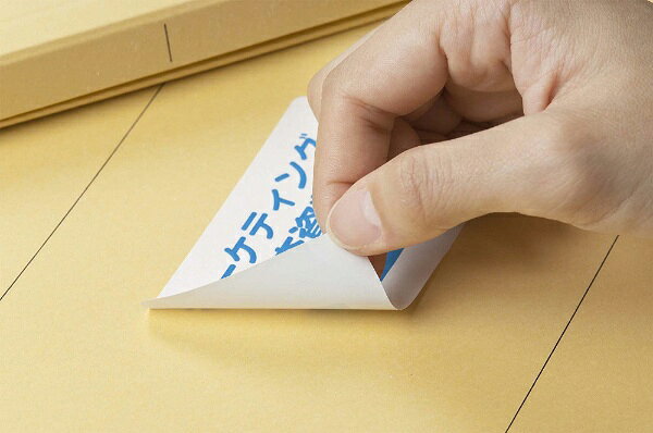 マルチプリンタラベル　 キレイにはがせるタイプA4判 10面 FD正面用 10シート(100片)
