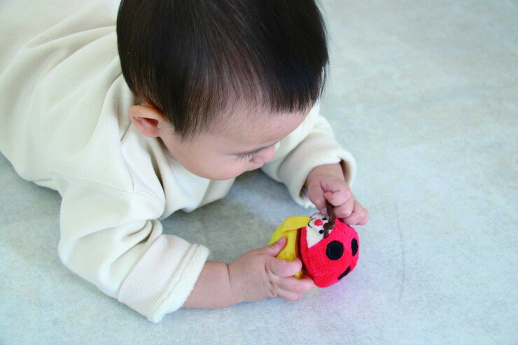 コロコロコロリン 1セット(1セット)