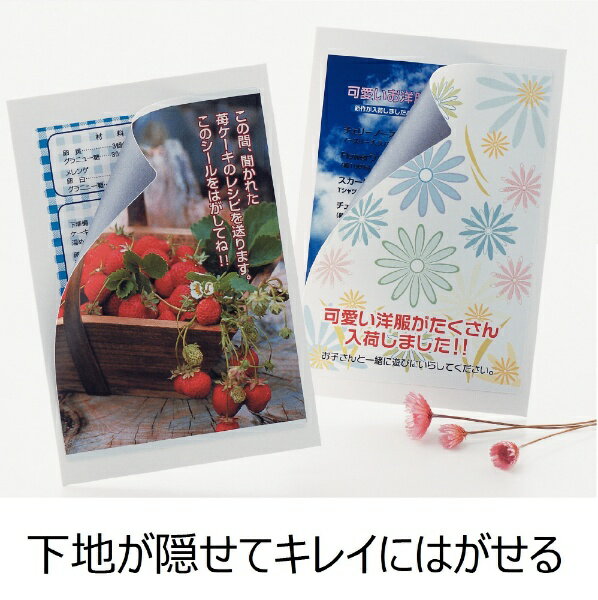 マルチプリンタラベル　 下地がかくせてキレイにはがせるタイプA4判 4面 はがき目かくし用 10シート(40片)