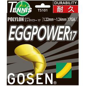 楽天市場】ゴーセン GOSEN ゴーセン エッグパワー17 TS101BK | 価格