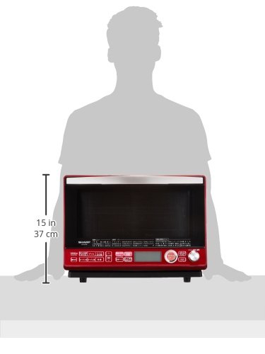 年内発送可 SHARP RE-SS10B-R 年内発送可 SHARP RE-SS10B-R SHARP RE-SS10B-R 年内発送可 SHARP RE-