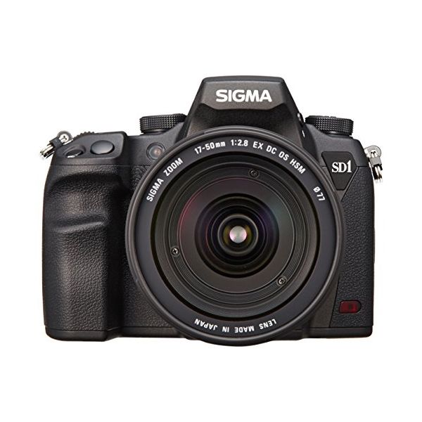 SIGMA SD1 Merrill