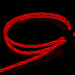 藤本電業 2WAY イルミネーションケーブル CK-L06RD