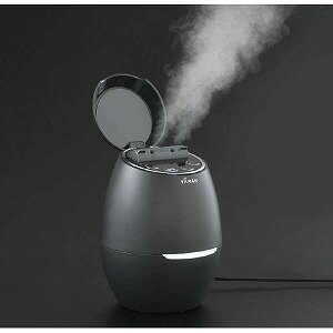 YA-MAN 毛穴ケアスチーマー IS-98B