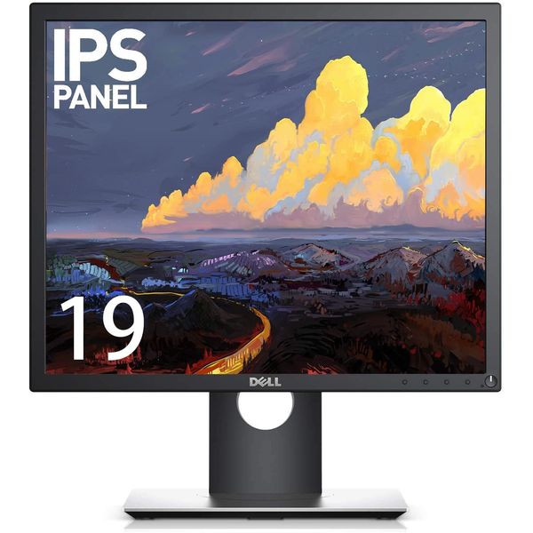 DELL 液晶ディスプレイ P1917S