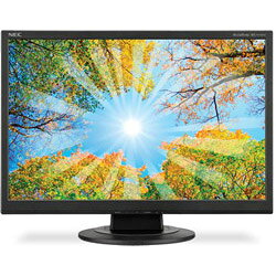 楽天市場】日本電気 NEC ディスプレイ LCD-AS192WM-C | 価格比較