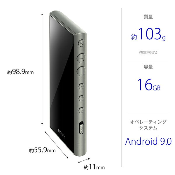 SONY ウォークマン Aシリーズ NW-A105HN(G)
