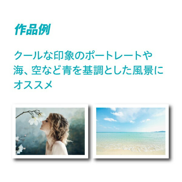 PICTORICO シャイニーブルー PSB160-A3+/20