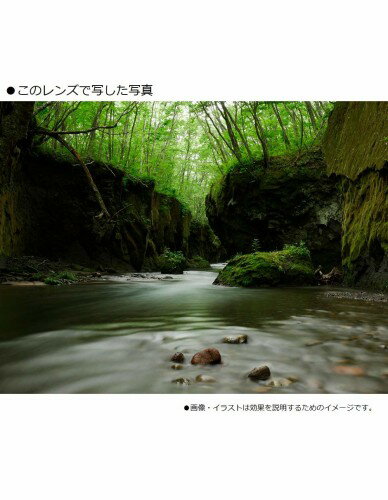 Panasonic  LUMIX G X VARIO 12-35F2.8 2