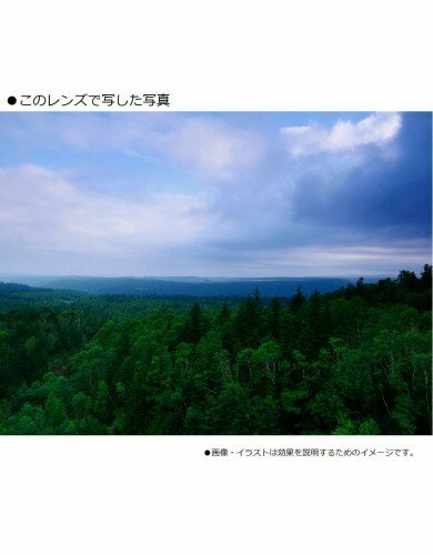 Panasonic  LUMIX G X VARIO 12-35F2.8 2