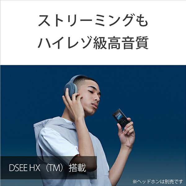 SONY ウォークマン Aシリーズ NW-A105HN(L)
