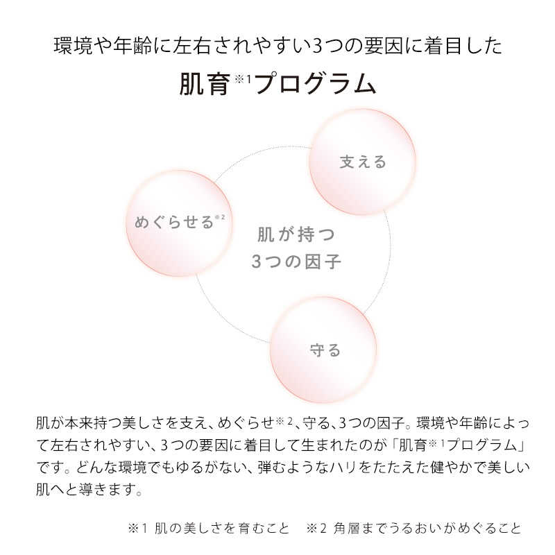 MTG ReFa BEAUTECH RAISE RE-AA02A