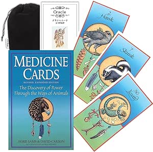 Medicine Cards: The Discovery of Power Through the Ways of Animals/U S GAMES SYSTEMS INC/Jamie Sams