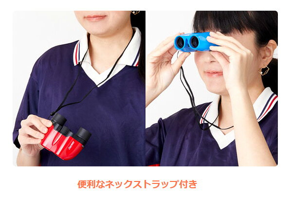 RF コンパクト双眼鏡 RXB317M